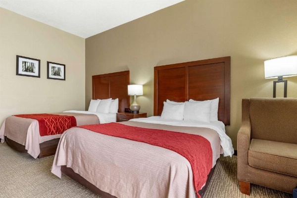 Comfort Inn Blythewood - North Columbia image 10