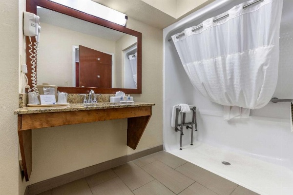 Comfort Inn Blythewood - North Columbia image 12