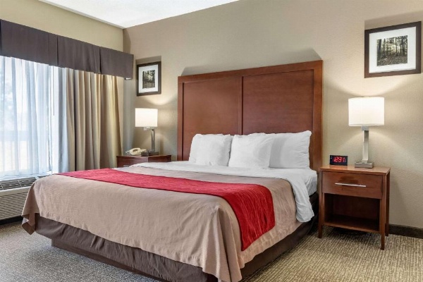 Comfort Inn Blythewood - North Columbia image 13
