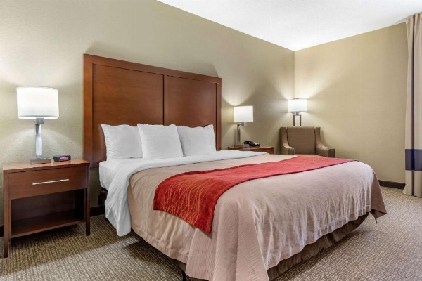 Comfort Inn Blythewood - North Columbia image 15