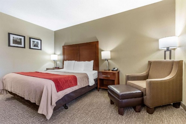 Comfort Inn Blythewood - North Columbia image 17