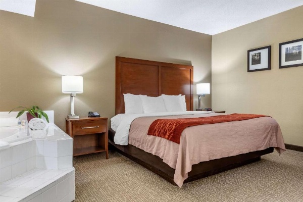 Comfort Inn Blythewood - North Columbia image 18