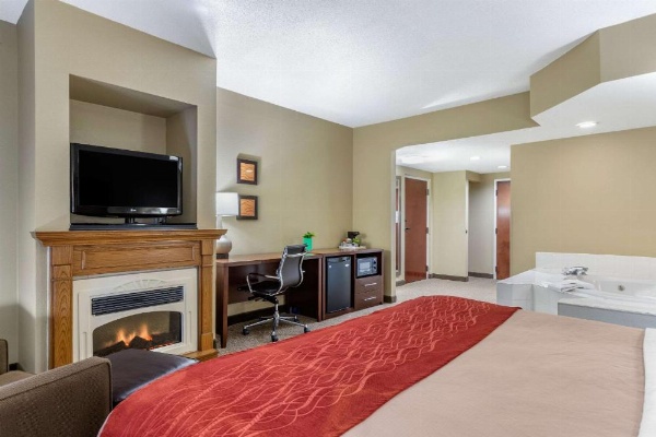 Comfort Inn Blythewood - North Columbia image 19
