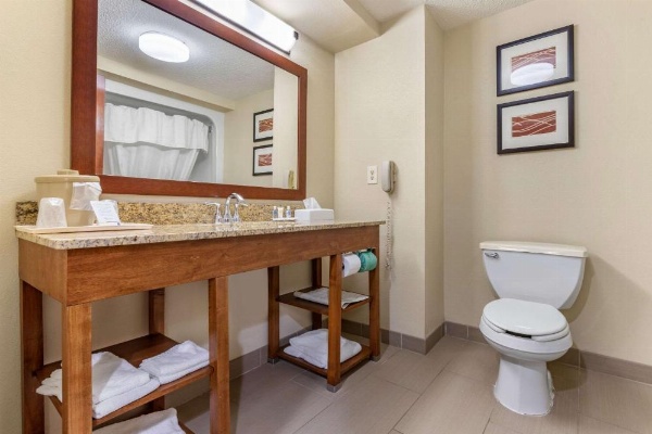 Comfort Inn Blythewood - North Columbia image 20