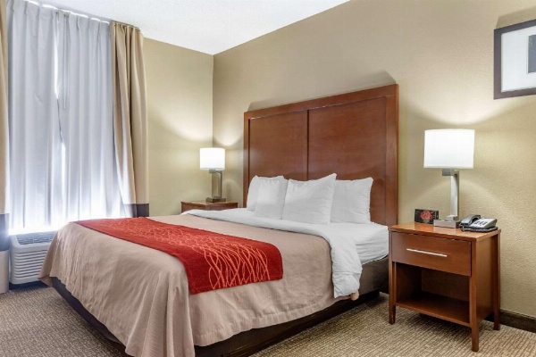 Comfort Inn Blythewood - North Columbia image 21