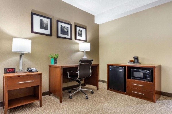 Comfort Inn Blythewood - North Columbia image 22