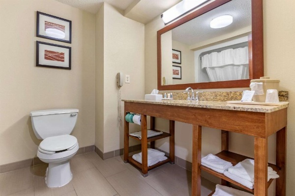 Comfort Inn Blythewood - North Columbia image 24