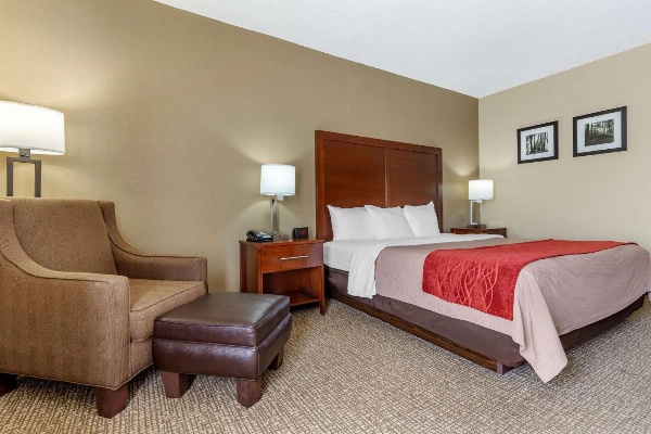 Comfort Inn Blythewood - North Columbia image 6