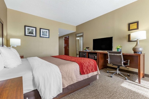 Comfort Inn Blythewood - North Columbia image 7