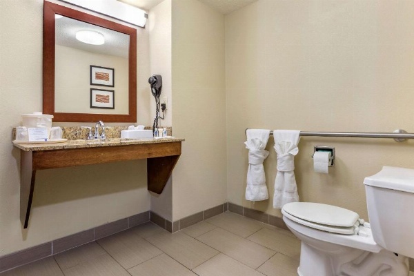 Comfort Inn Blythewood - North Columbia image 8